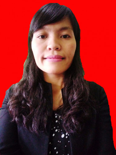 PP Penyedia