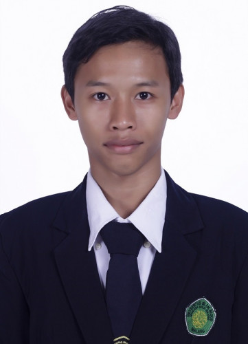 Penyedia