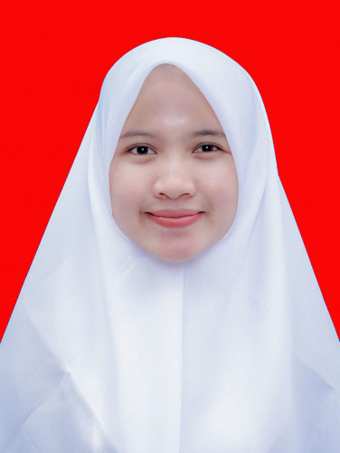 Penyedia