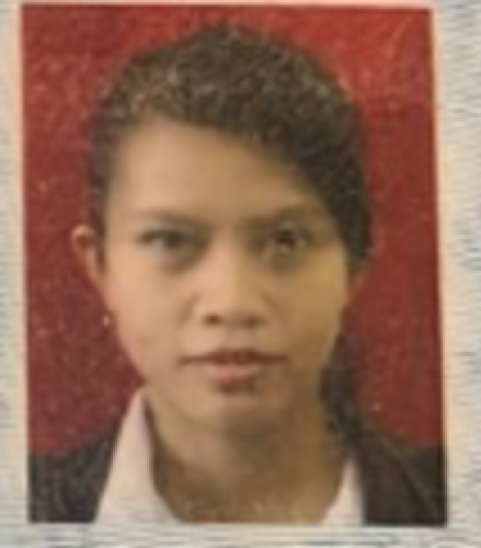 Penyedia